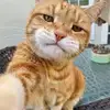 Prank Rana O