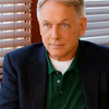 mark Harmon chat