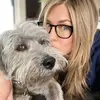 Jennifer joanna Aniston 