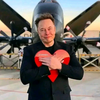 Elon musk Veo